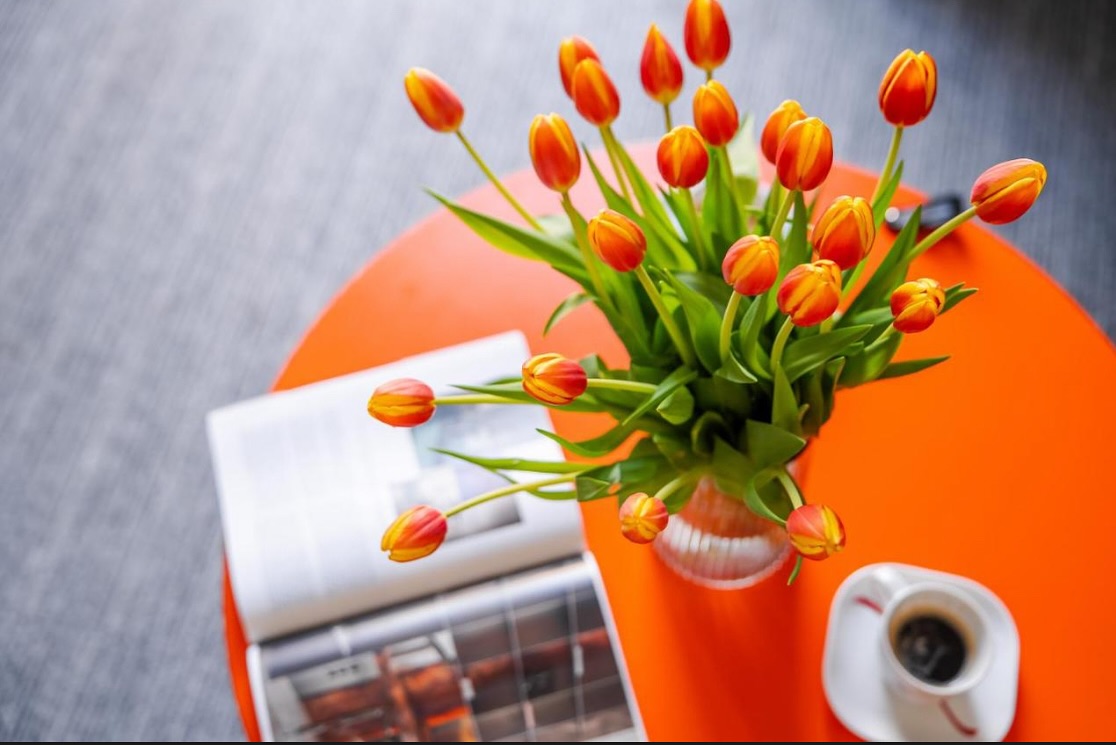 IND.U Apartamenty Kołobrzeg - obiekt